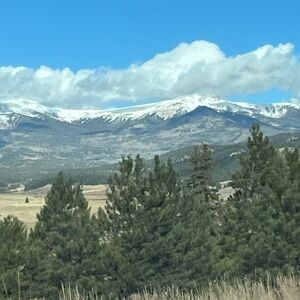 LIVE SHOW LISTING❤️❤️❤️